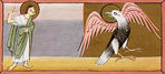 15-bird.jpg