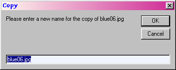 Copy (New Name) Dialog Box