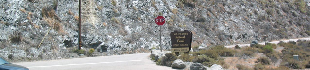 Los Padres National Forest / Willow Creek